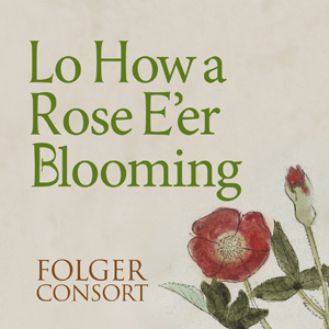 Lo How a Rose E're Blooming Thumbnail.jpg
