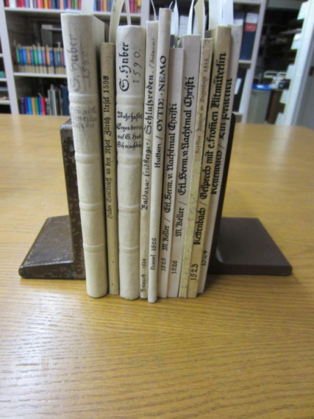 File:CalligraphicSpines.jpg