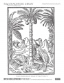 Woodcut in Respublica de decimis. Edinburgh, 1627 Printer-friendly PDF